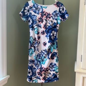 Pinkblush Floral Maternity Dress